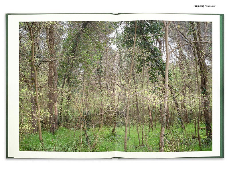 129-on-Landscape-issue-n262-p130-AUG-2022