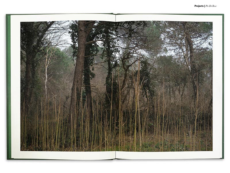 131-on-Landscape-issue-n262-p128-AUG-2022